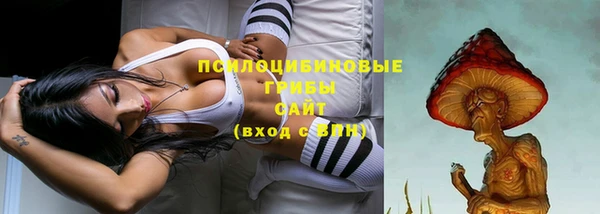 МДПВ Арсеньев