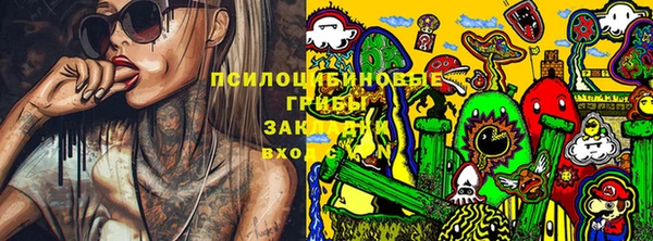 МДПВ Арсеньев